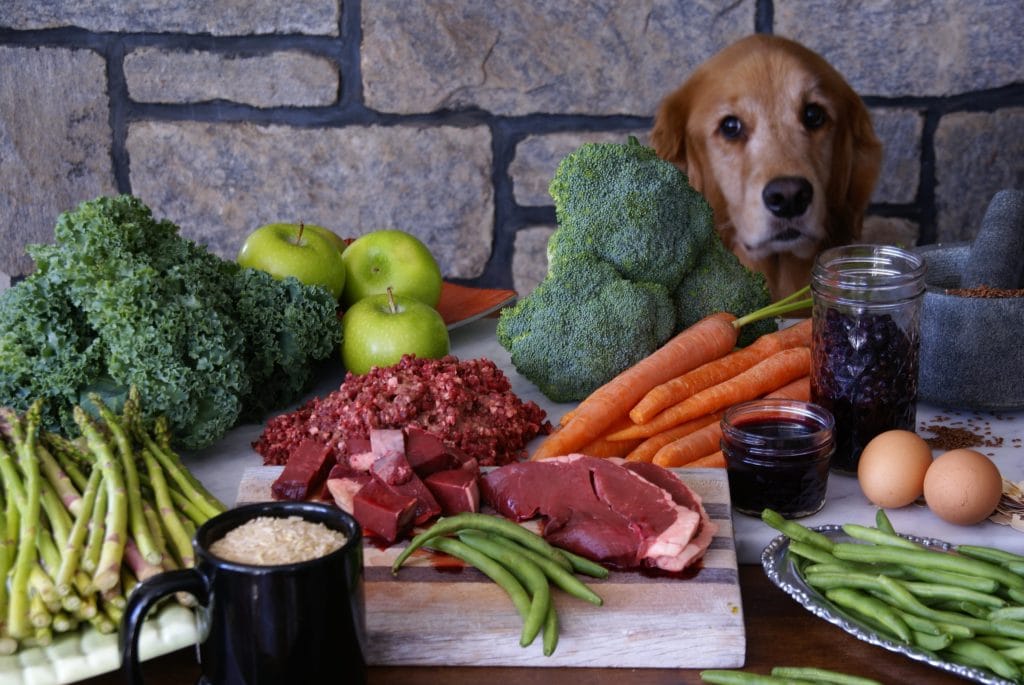 Choosing High-Quality Dog Food