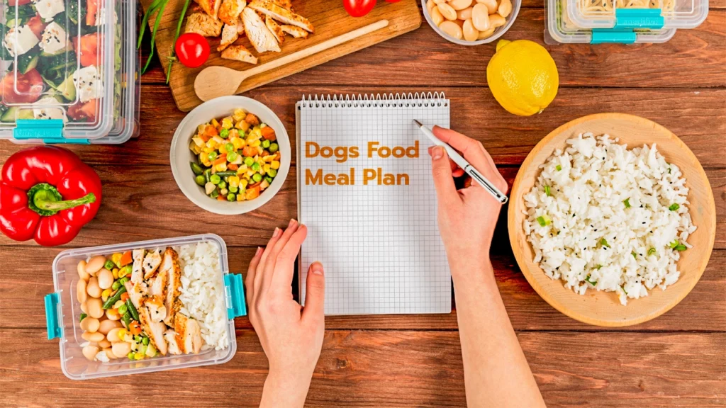 Creating A Meal Plan