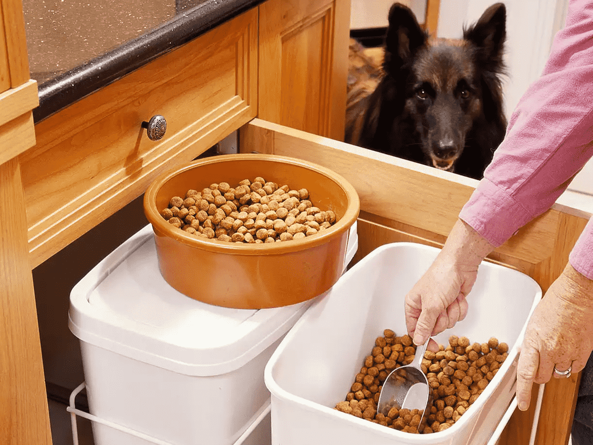 dog food in a storage container