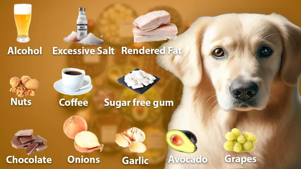 List od top 10 ingredients To Avoid in Dog Food