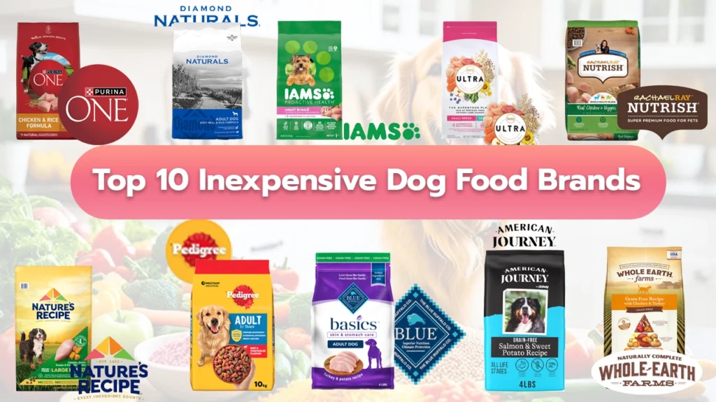 Top 10 Inexpensive Dog Food Brands