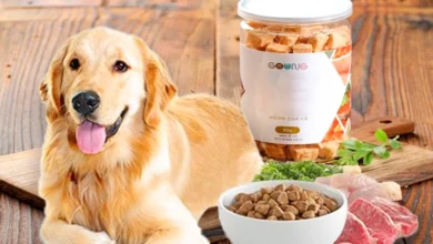 8 Best Dog Food for Sensitive Stomach​ A Comprehensive Guide