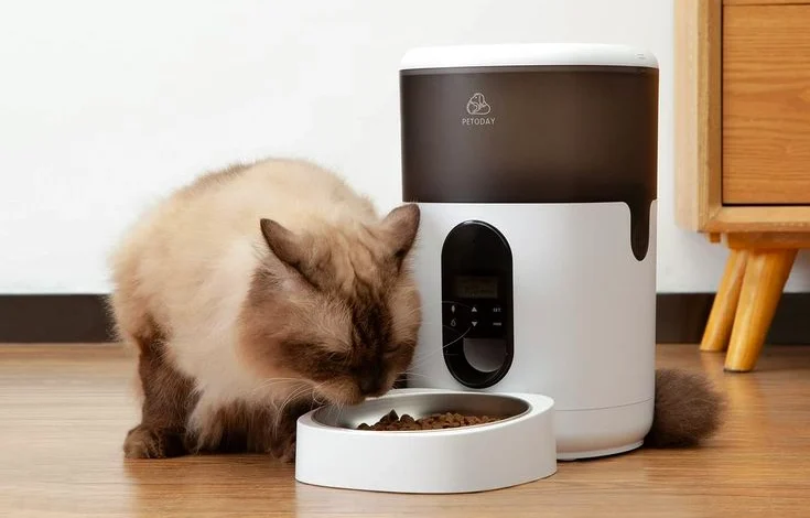 Are Automatic Cat Feeders A Good Idea Experts Opinion