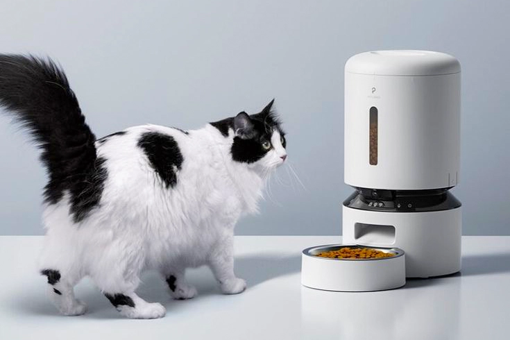 Automatic cat food feeder