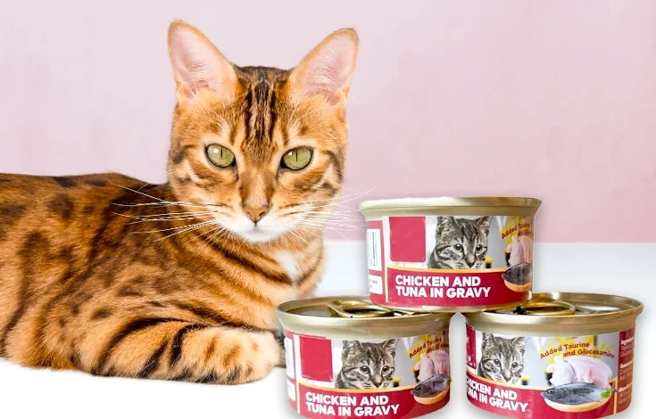 Best Canned Cat Food​ Top 8 Brands With Vet Approved Options