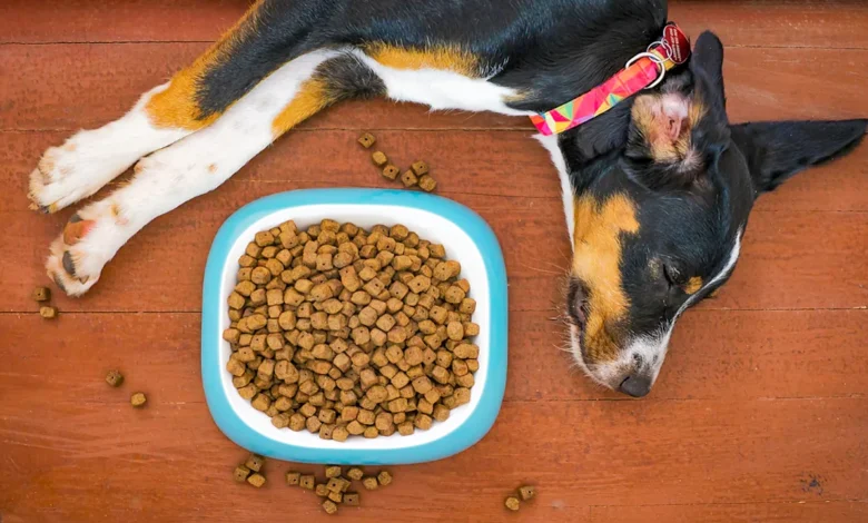 How Long Can Dogs Go Without Food​