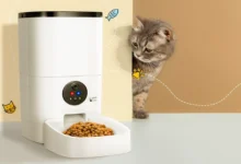 How To Use Automatic Cat Food Feeder Comprehensive Guide