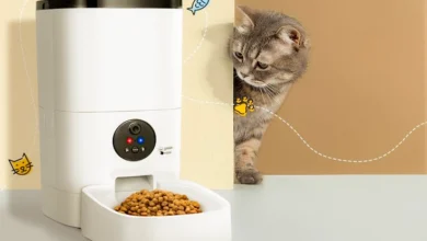 How To Use Automatic Cat Food Feeder Comprehensive Guide