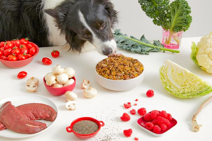 Organic Dog Food Types