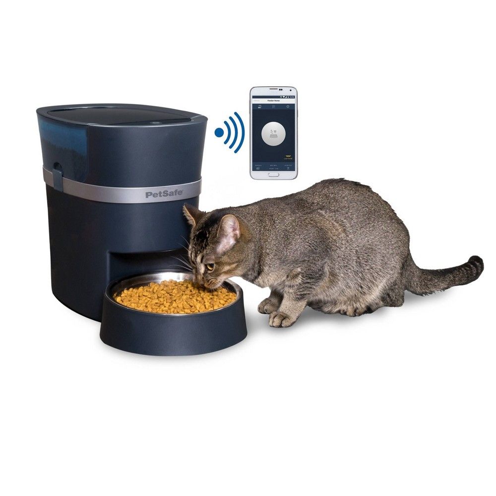 Program cat food feeder