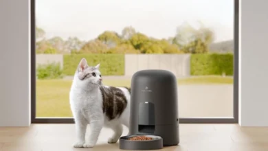 Top 10 Automatic Cat Food Dispensers Benefits, Types, & Options