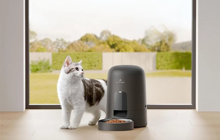 Top 10 Automatic Cat Food Dispensers Benefits, Types, & Options