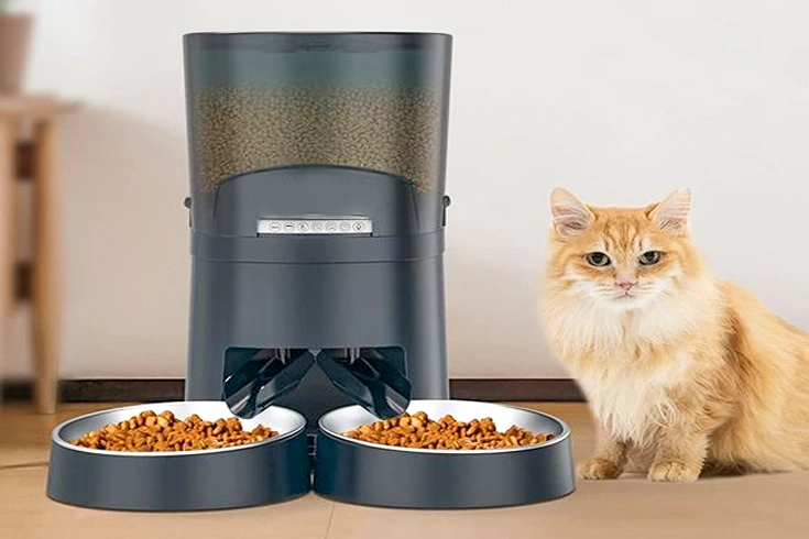 Top 10 Automatic Cat Food Dispensers Benefits, Types, Options