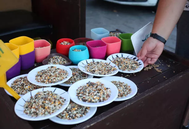 Best Bird Food