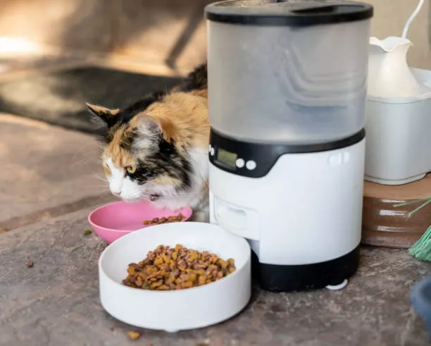 Benefits of Using Automatic Cat Feeders