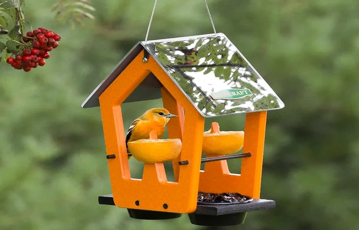 12 Different Types of Bird Feeders Tips to Choose the Best One