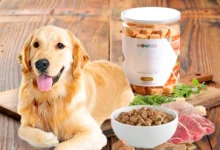 8 Best Dog Food for Sensitive Stomach​ A Comprehensive Guide