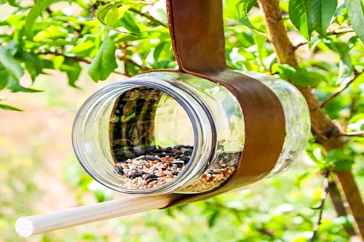 DIY Bird Feeders