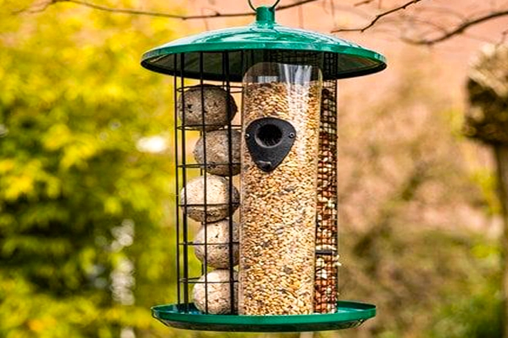 Seed Feeders