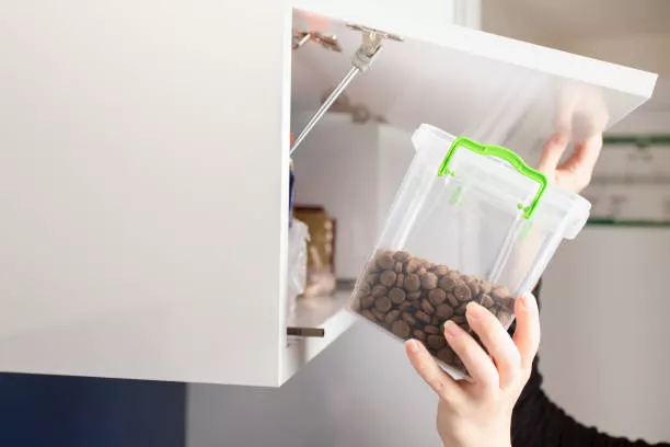 Best Cat Food for Allergies Top 10 Dog Food Storage Containers to Keep Food Fresh for Long