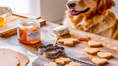 5 Best Dog Treat Recipes to Improve Your Pup's Nutrition