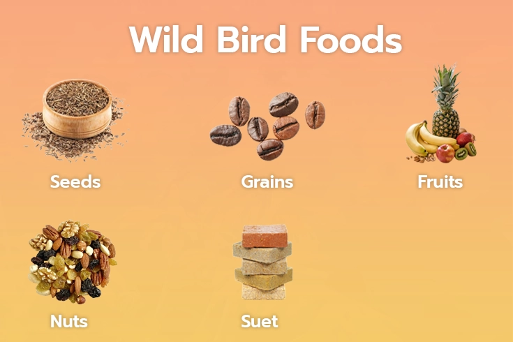 wild bird foods