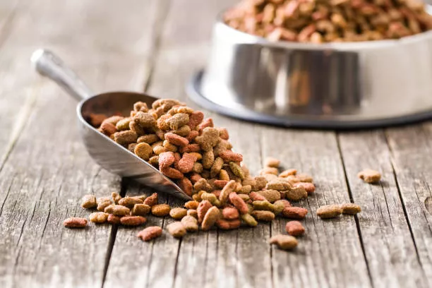 Top 10 Best Healthy Dog Treats | Vet-approved Organic Recipes