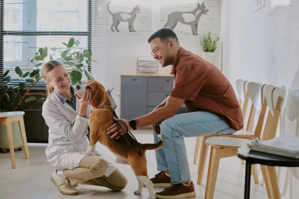 Healthy Treats for Dogs