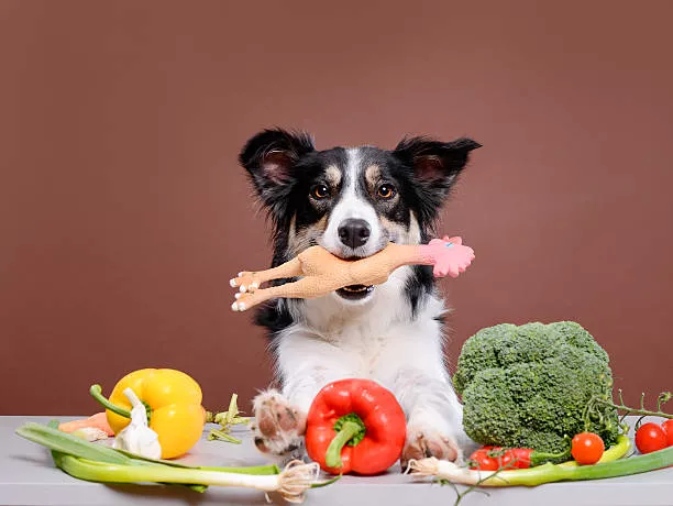Spices for Dogs