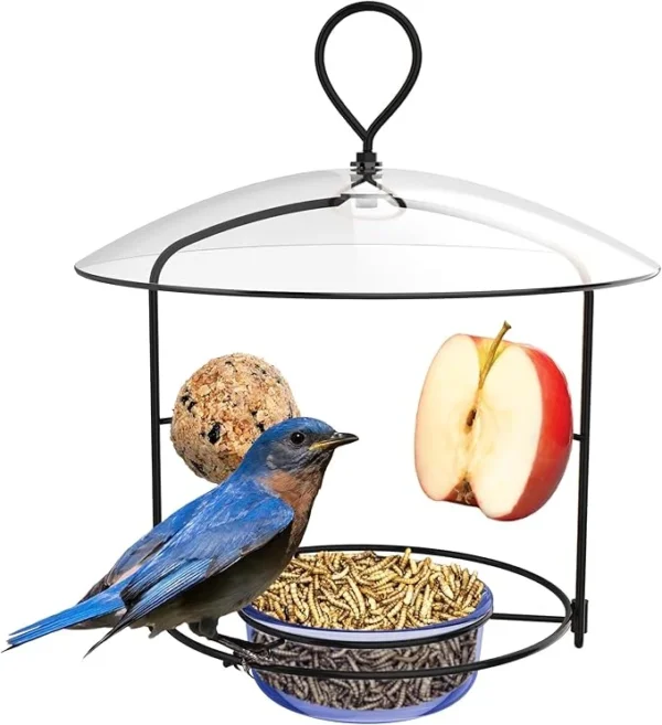 Nature's Way BBFM1 Bluebird Buffet Metal Bird Feeder with Protective Baffle, Outdoor Wild Bird Feeder and Décor, One Glass Dish with 3/4 Cup capacity, Blue