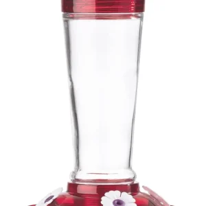 More Birds Bird Health+ Ruby Hummingbird Feeder, Glass Hummingbird Feeders for Outdoors, 4 Feeding Stations, 10 Ounces, Ruby Red