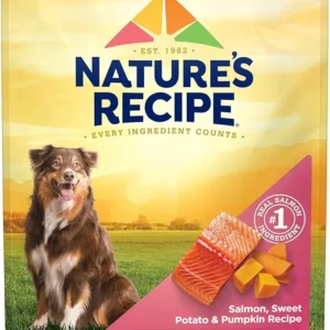 Nature’s Recipe Grain Free Salmon, Sweet Potato & Pumpkin Recipe Dry Dog Food, 24 lb. Bag