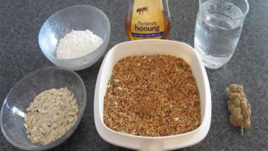 Homemade Bird Food