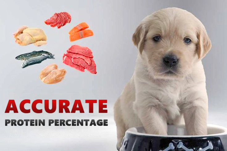 Is Chicken Meal In Dog Food A Good First Ingredient? | Vet's Approved Facts 6 chicken meal in dog food