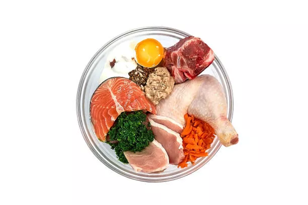 Is Chicken Meal In Dog Food