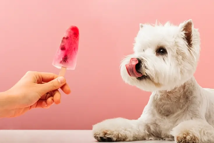 Can Dogs Eat Apples? Tips to Safely Feed Apple to Dogs 4 can dogs eat apple
