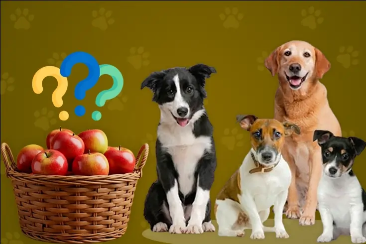 Can Dogs Eat Apples? Tips to Safely Feed Apple to Dogs 3 can dogs have apple