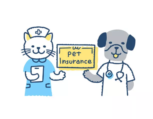 How Much Is Cat Insurance Cost? | Insurance Coverage Guide 3 How Much Is Cat Insurance Cost?