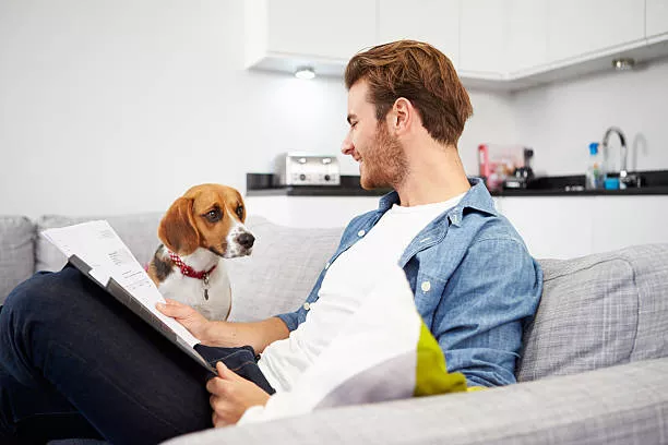 Top 12 Cat Health Insurance Companies in 2025 2 Top 12 Cat Health Insurance Companies in 2025