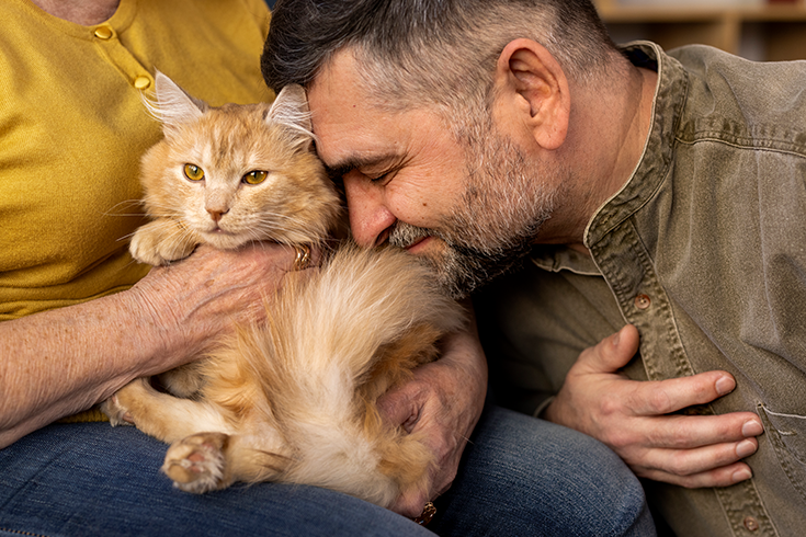 How To Tame A Cat? | 5 Quick & Easy Steps 4 How to tame a wild cat