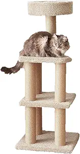 12. Indoor Cat & Kittens Multi-Level Climbing Activity Tower