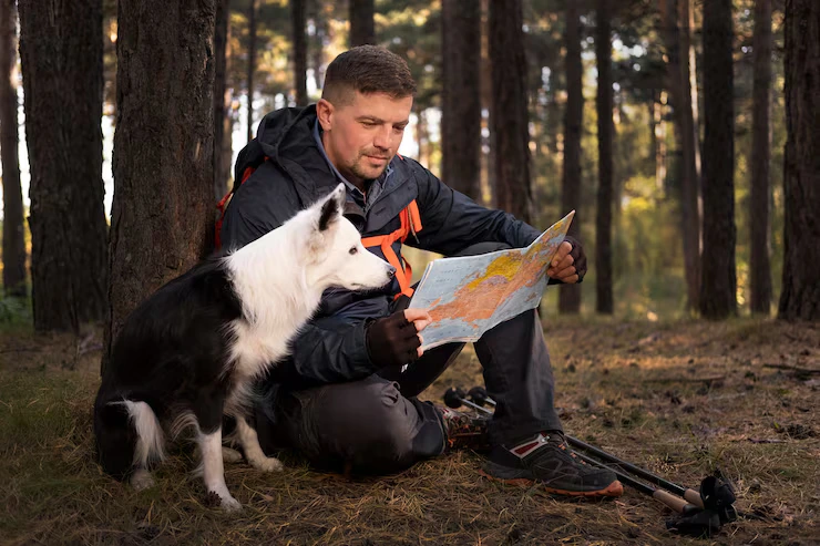 beautiful black white dog looking map 23 2148728218