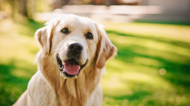 istockphoto 1285465107 612x612 1