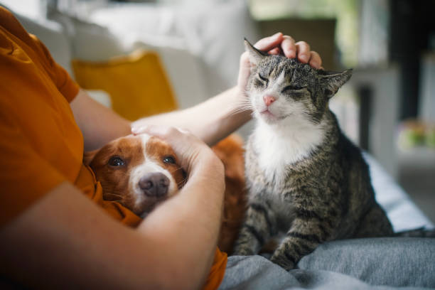 istockphoto 1795133707 612x612 1