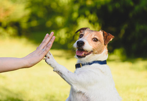 istockphoto 2098895574 612x612 1