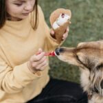 How Much Benadryl Can I Give My Dog? How to Use it Safely?
