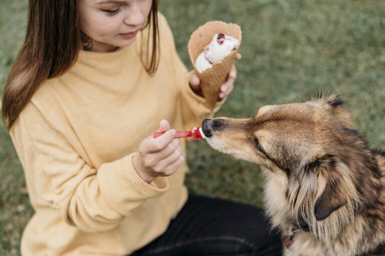 How Much Benadryl Can I Give My Dog? How to Use it Safely?